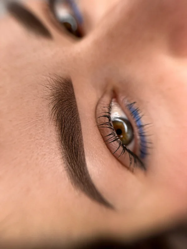 Curso Online Mattevelour Brows