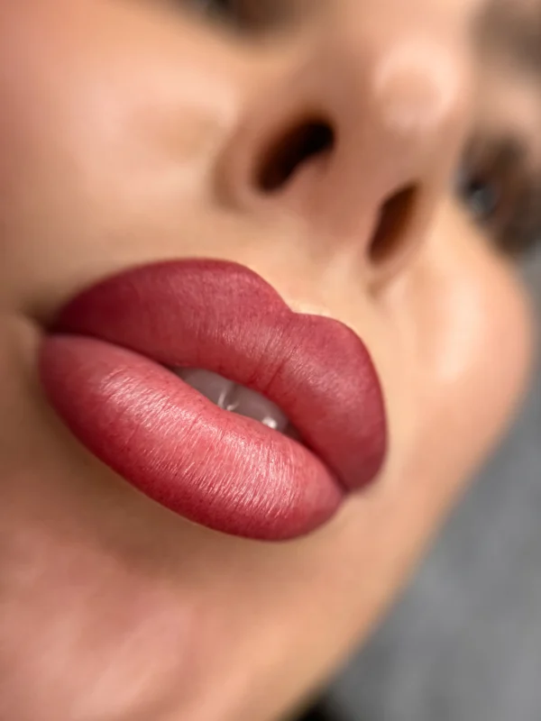 Curso Online Mattevelour Lips